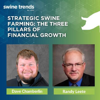#SHORTS: Strategic swine farming: the three pillars of financial growth - Dave Chamberlin