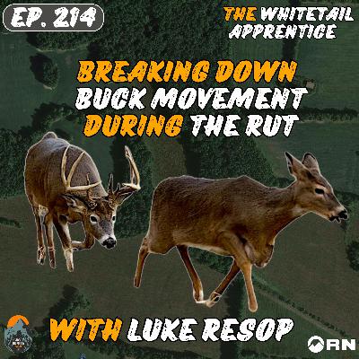 Breaking Down BUCK MOVEMENT during The Rut