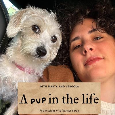 Sun will come out eventually - A Pup In The Life ep. 225