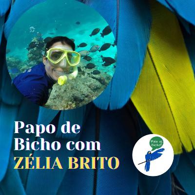 Papo de Bicho #37 com ZÉLIA BRITO
