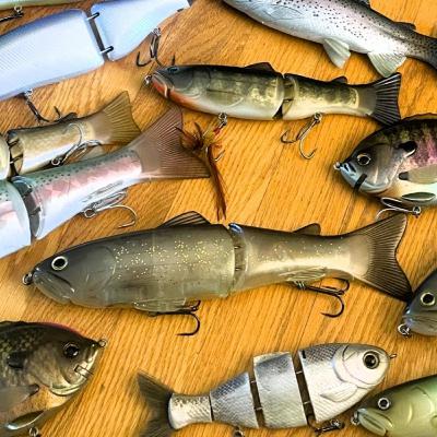 Swimbait Fishing Seminar (For Beginners to Advanced Anglers #227) Round Table