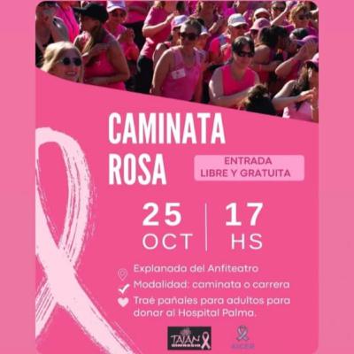 La Cámara de Diputados apoya la Caminata Rosa