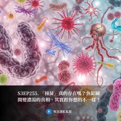 S3EP255. 「撞菌」真的存在嗎？魚缸瞬間變濃湯的真相，其實跟你想的不一樣！