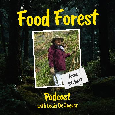 Food Forest Podcast: Anne Stobart β How to start a medicinal food forest? Food Forest Podcast: Anne Stobart β How to start a medicinal food forest?