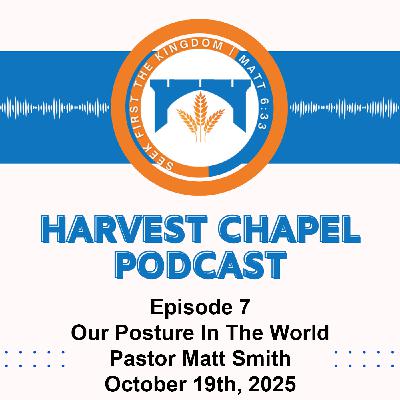 Our Posture In The World Our Posture In The World