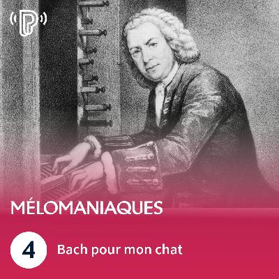 Bach pour mon chat | Mélomaniaques #4