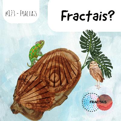 Fractais Fractais
