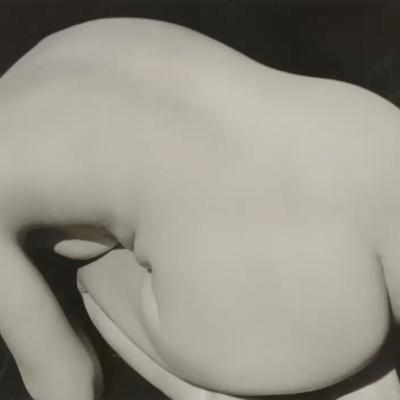 N° 183- Immogen Cunningham photographie le corps nu N° 183- Immogen Cunningham photographie le corps nu