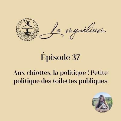 37 - Aux chiottes, la politique ! Petite politique des toilettes publiques
