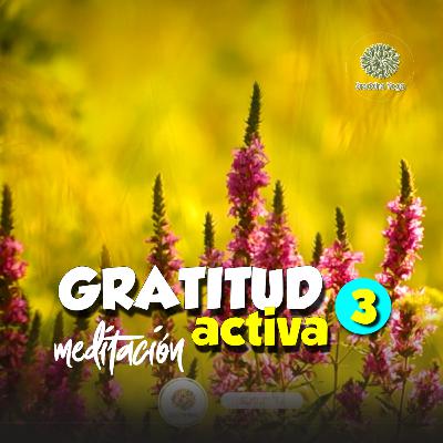 🎆 Gratitud Activa | Sraddha Meditación con Aurora. 03