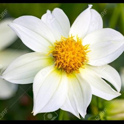 Jesus es el regalo 🎁 Jesus es el regalo 🎁