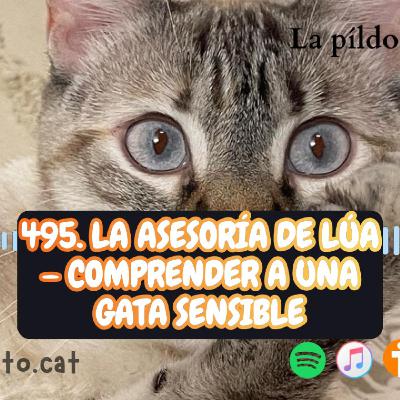 495. La Asesoría de Lúa – Comprender a una gata sensible