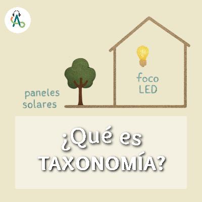 #59 ¿Qué es taxonomía en construcción?