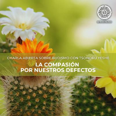 LA COMPASIÓN POR NUESTROS DEFECTOS