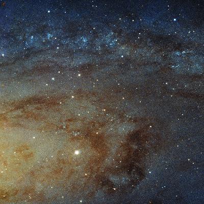 Cosmos