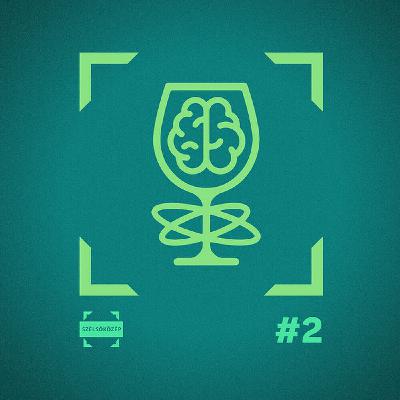 A Zeneipar Polarizációja és Az Eltűnő Középmezőny a művészetből | Nyílt Osztály × Mehringer Marci