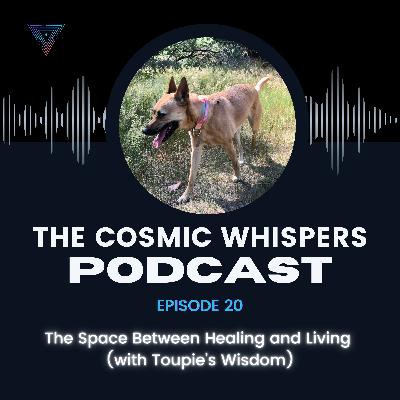 The Space Between Healing and Living (with Toupie’s Wisdom) The Space Between Healing and Living (with Toupie’s Wisdom)