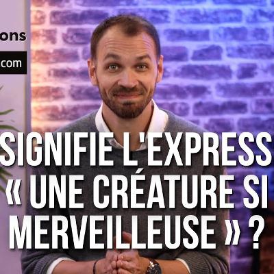 Que signifie l’expression : « Une créature si merveilleuse » ?