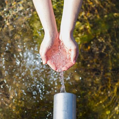 Honestidad - El Primer Paso Hacia El Cambio - MMP 713 Honestidad - El Primer Paso Hacia El Cambio - MMP 713