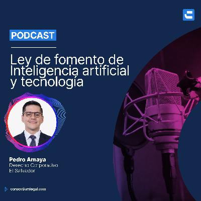 Ley de fomento de Inteligencia artificial y tecnología