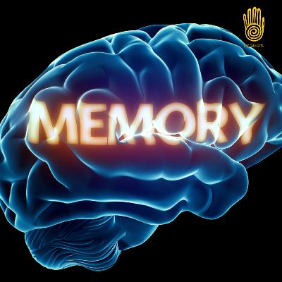 Ep.14 - Problemi di Memoria? Ecco come risolverli....respirando... Ep.14 - Problemi di Memoria? Ecco come risolverli....respirando...