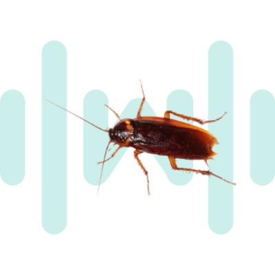 I Live With Roaches SoundBoard - SoundBoardW.com
