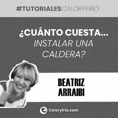 ¿Cuánto cuesta instalar una caldera? ¿Cuánto cuesta instalar una caldera?