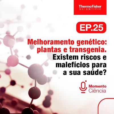 Melhoramento genético: plantas e transgenia. Existem riscos e malefícios para a sua saúde?