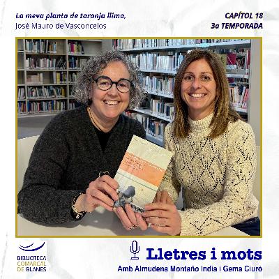 >> LLETRES I MOTS | 3x18 La meva planta taronja llima, de José Mauro de Vasconcelos >> LLETRES I MOTS | 3x18 La meva planta taronja llima, de José Mauro de Vasconcelos