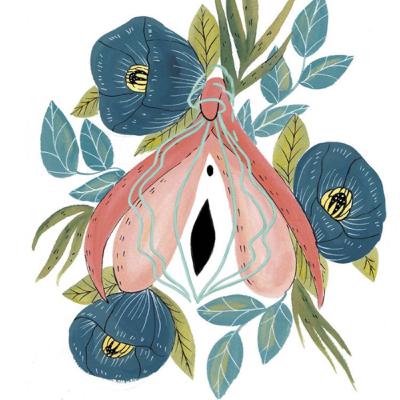 Clítoris, el tesoro perdido ( parte I) Clítoris, el tesoro perdido ( parte I)