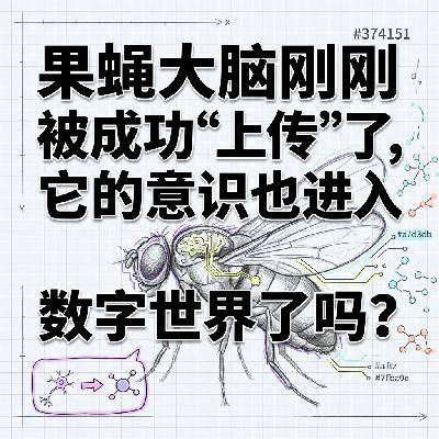 果蝇大脑被成功上传 | 意识进入数字世界了吗 | 科技前沿深度拆解 果蝇大脑被成功上传 | 意识进入数字世界了吗 | 科技前沿深度拆解