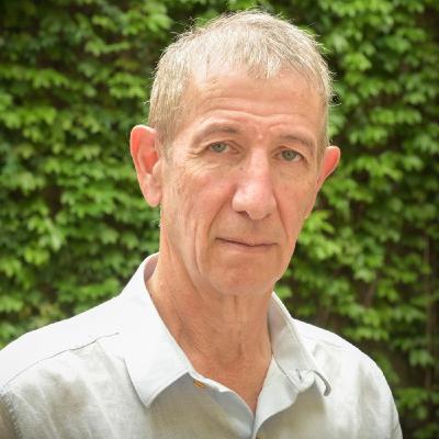 Marcelo Bergman, director del Centro de Estudios Latinoamericanos sobre Inseguridad y Violencia (CELIV)-UNTREF