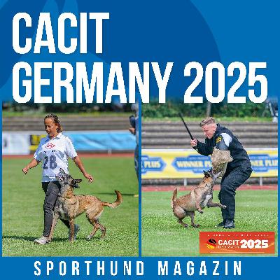 #26: Cacit Germany 2025
