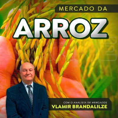 Arroz tem menor preço desde 2021; mercado seguirá estagnado por algumas semanas