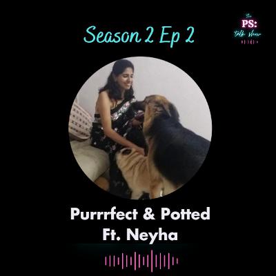 S02E02 - Purrrfect & Potted S02E02 - Purrrfect & Potted