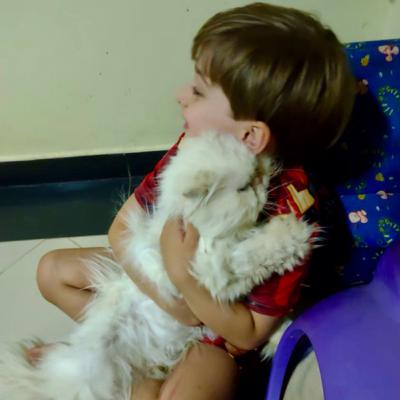 Rafael e seus amigos