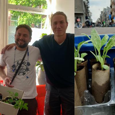 Farmsterdammers interview | sharing seedlings across the city