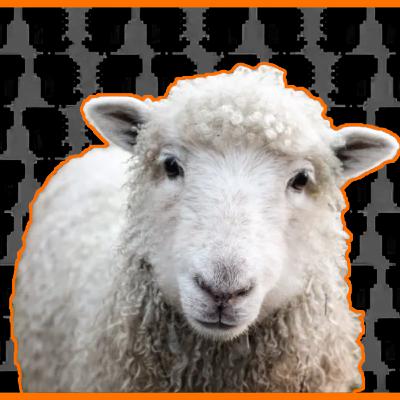 Sheep Shagga (ft. Funkydolajr) | The TriassiCast #4