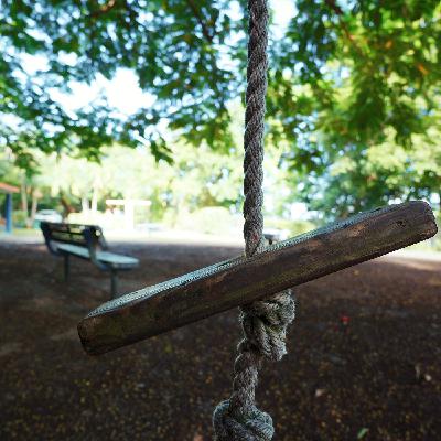 Friday, November 7, 2025