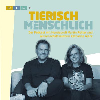 225 - Abschied von Alma