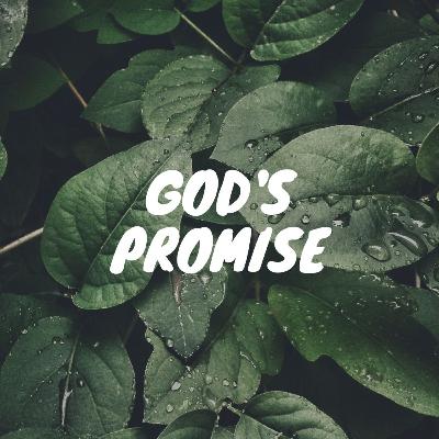 God's Promise