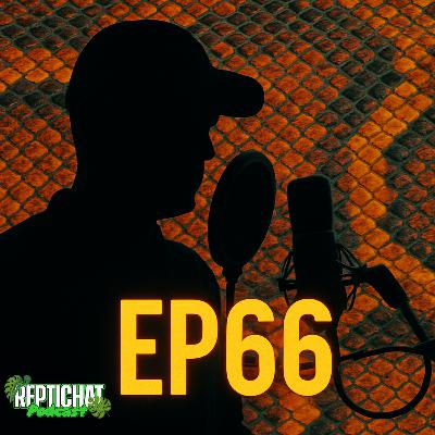 ReptiChat #Ep 66 - Changing Perspectives with a mystery guest!
