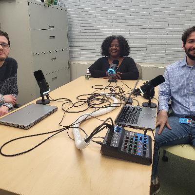 Inside Springfield City Hall: Tracye Whitfield on City Council Leadership, Priorities and Controversy