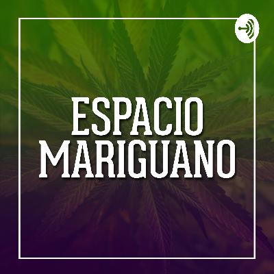 Weed Wisdom Wednesday :: Ni Walgreens ni CVS Weed Wisdom Wednesday :: Ni Walgreens ni CVS