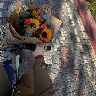 hayatı kendimize kolaylaştırmak | avokadolar…