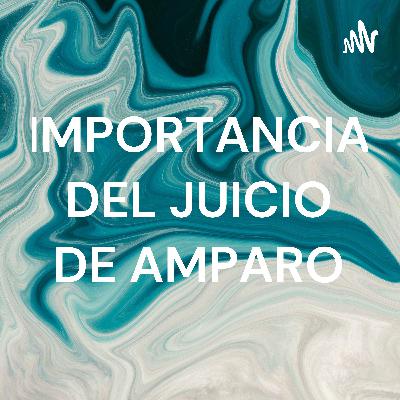 IMPORTANCIA DEL JUICIO DE AMPARO COMO MEDIO DE PROTECCIÓN DE LOS DERECHOS HUMANOS Y GARANTÍAS INDIVI