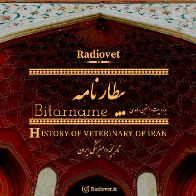 بیطارنامه - قسمت ششم بیطارنامه