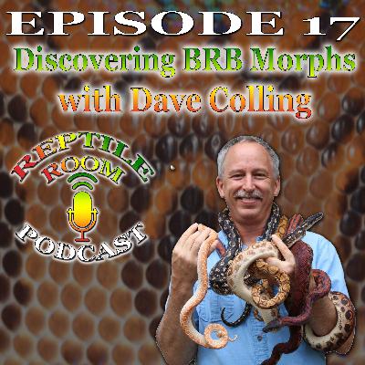 Episode 17 - Discovering BRB Morphs with Dave Colling