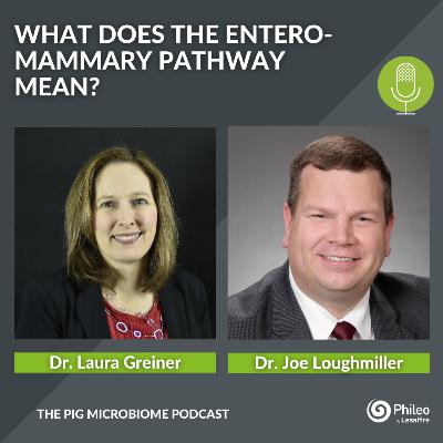 #SHORTS: what does the entero-mammary pathway mean?