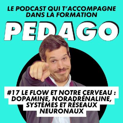 #17 Le flow et notre cerveau : dopamine, noradrénaline, systèmes et réseaux neuronaux #17 Le flow et notre cerveau : dopamine, noradrénaline, systèmes et réseaux neuronaux